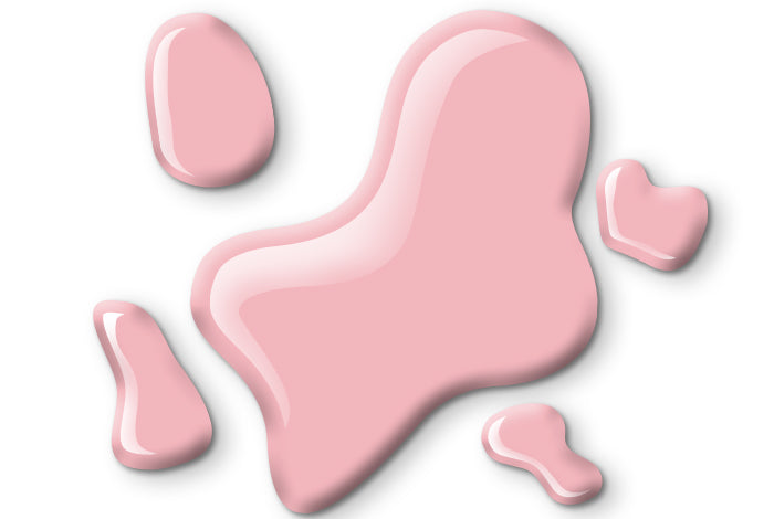 True Foundation - Bonny